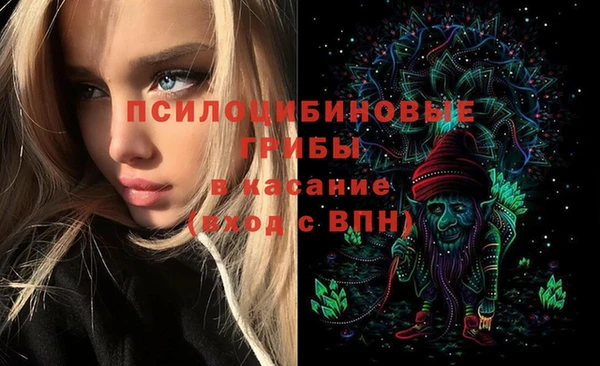 меф Арсеньев